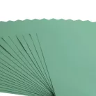 Scrapbook alapkarton 10 ív Texturált felületű - 12" (30 cm) - iguana - iguána - Cardstock texture