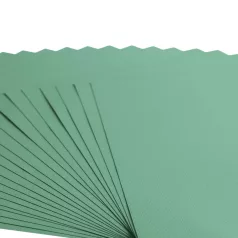   Scrapbook alapkarton 10 ív Texturált felületű - 12" (30 cm) - iguana - iguána - Cardstock texture