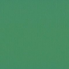   Scrapbook alapkarton 10 ív Texturált felületű - 12" (30 cm) - grasshopper - szöcske - Cardstock texture