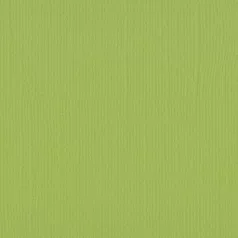   Scrapbook alapkarton 10 ív Texturált felületű - 12" (30 cm) - pistachio - pisztácia - Cardstock texture