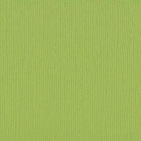 Scrapbook alapkarton 10 ív Texturált felületű - 12" (30 cm) - pistachio - pisztácia - Cardstock texture