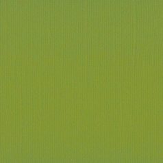   Scrapbook alapkarton 10 ív Texturált felületű - 12" (30 cm) - Fern - Páfrány - Cardstock texture