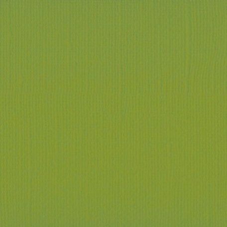 Scrapbook alapkarton 10 ív Texturált felületű - 12" (30 cm) - Fern - Páfrány - Cardstock texture