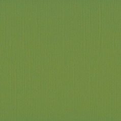   Scrapbook alapkarton 10 ív Texturált felületű - 12" (30 cm) - olive - olajbogyó - Cardstock texture