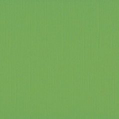   Scrapbook alapkarton 10 ív Texturált felületű - 12" (30 cm) - Frog - Béka - Cardstock texture