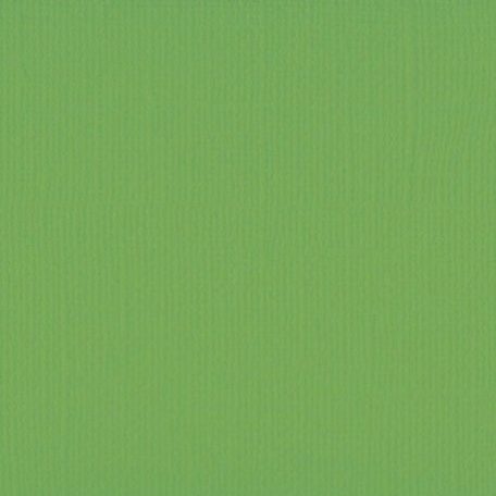 Scrapbook alapkarton 10 ív Texturált felületű - 12" (30 cm) - Frog - Béka - Cardstock texture