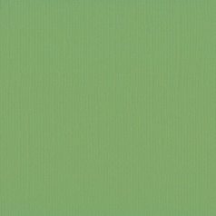   Scrapbook alapkarton 10 ív Texturált felületű - 12" (30 cm) - moss - moha - Cardstock texture