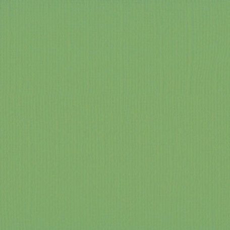 Scrapbook alapkarton 10 ív Texturált felületű - 12" (30 cm) - moss - moha - Cardstock texture