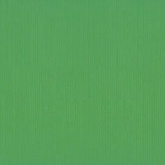   Scrapbook alapkarton 10 ív Texturált felületű - 12" (30 cm) - holly - magyal - Cardstock texture