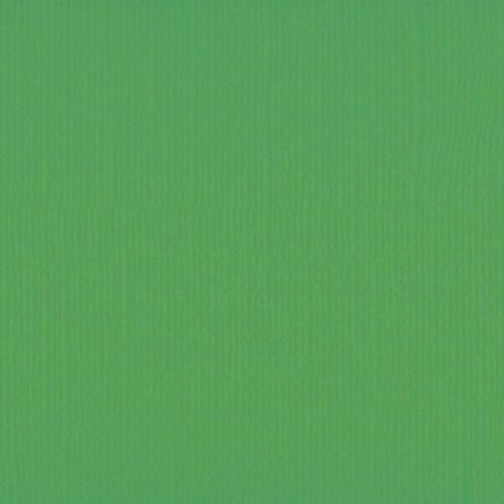 Scrapbook alapkarton 10 ív Texturált felületű - 12" (30 cm) - holly - magyal - Cardstock texture