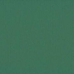   Scrapbook alapkarton 10 ív Texturált felületű - 12" (30 cm) - pine - fenyő - Cardstock texture