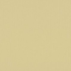   Scrapbook alapkarton 10 ív Texturált felületű - 12" (30 cm) - pudding - puding - Cardstock texture
