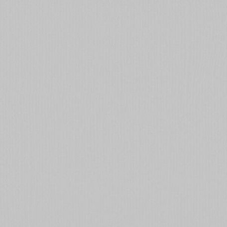 Scrapbook alapkarton 10 ív Texturált felületű - 12" (30 cm) - mouse - egér - Cardstock texture