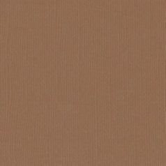   Scrapbook alapkarton 10 ív Texturált felületű - 12" (30 cm) - lion - oroszlán - Cardstock texture