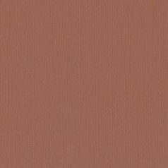   Scrapbook alapkarton 10 ív Texturált felületű - 12" (30 cm) - umber - umbra - Cardstock texture