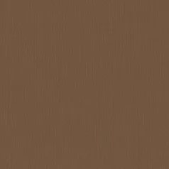   Scrapbook alapkarton 10 ív Texturált felületű - 12" (30 cm) - hazelnut - mogyoró - Cardstock texture