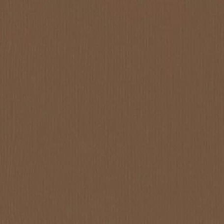 Scrapbook alapkarton 10 ív Texturált felületű - 12" (30 cm) - hazelnut - mogyoró - Cardstock texture