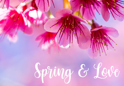 Spring and Love - Mood board challenge